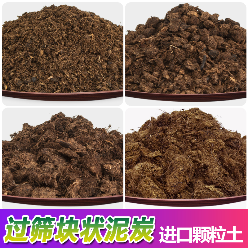 通用型进口泥炭营养土精筛土