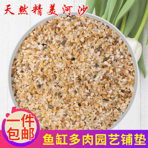 天然优质河沙多肉基质园艺铺垫多肉养花水晶沙细粒石头石英沙沙子