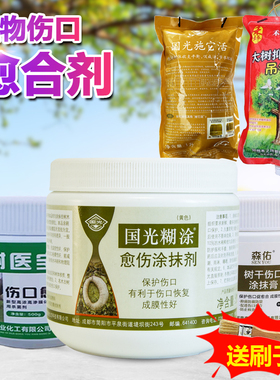 伤口愈合剂国光糊涂树木修剪果树苗木嫁接切口伤愈膏封口消毒涂剂