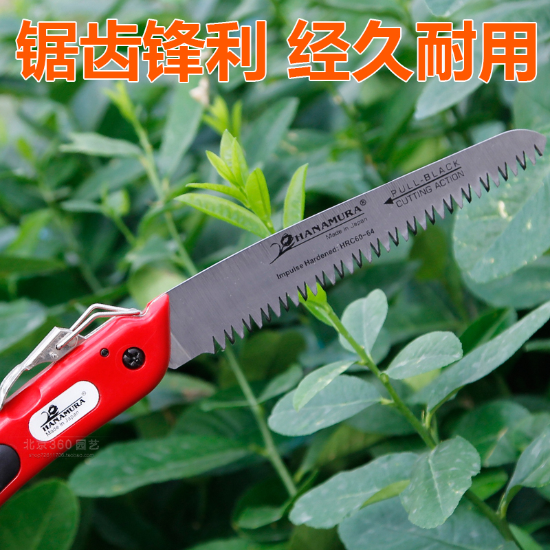 家庭园艺园林绿化公园树林树木锯