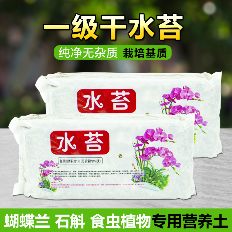 一级水苔青苔藓无杂质蝴蝶兰专用营养土石斛兰花栽培基质造景垫材