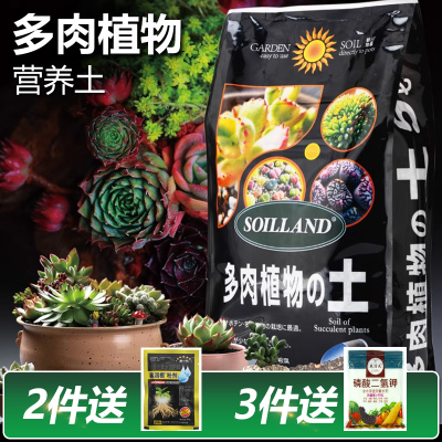 朝日通用多肉植物专用颗粒营养土