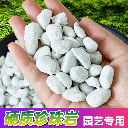 通用硬质珍珠岩不易粉化多肉兰花