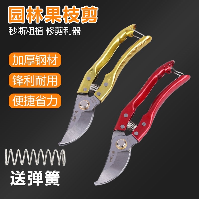 园艺家用庭院植物花卉树枝果植剪