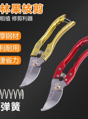 修枝剪家用园艺不锈钢果树粗枝嫁接专用剪刀园林绿化强力修剪工具