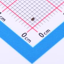 ESDPSA0402V12 静电放电(ESD)保护器件 ESDPSA0402V12