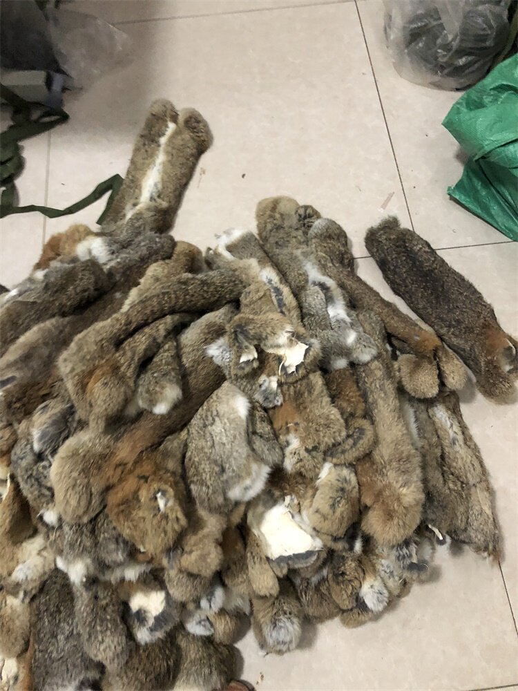 仿真兔格力灵缇惠比特犬训练专用