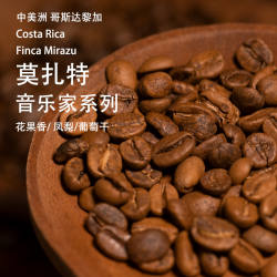 莫扎特哥斯达黎加咖啡豆塔拉珠音乐家系列葡萄干蜜处理美式咖啡豆