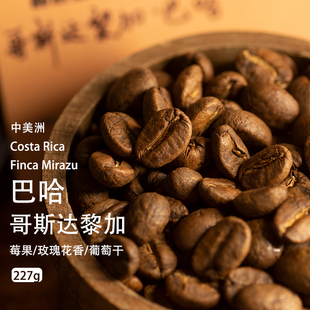 巴哈音乐家系列巴赫哥斯达黎加葡萄干处理中度烘焙单品手冲咖啡豆