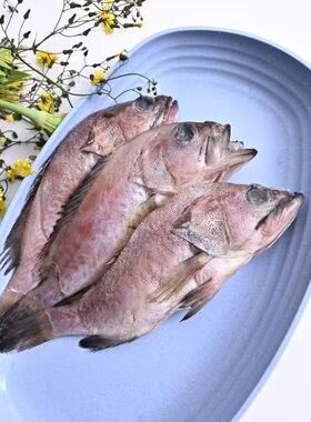 野生海捕青石斑鱼开肚去鳞冷冻