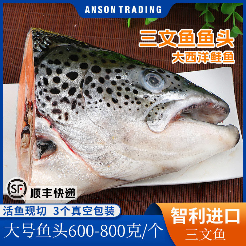 智利三文鱼头大西洋鲑鱼大号鱼头炖汤火锅食材批发海鲜超大非挪威