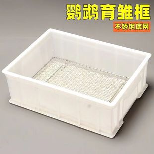 鹦鹉育雏饲养框不锈钢底网幼鸟幼鸟饲养盒子用品保温箱繁殖鸟站网
