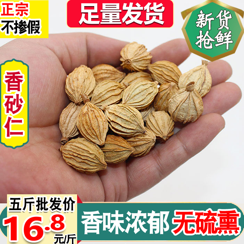 正宗新货香砂仁好味道足干