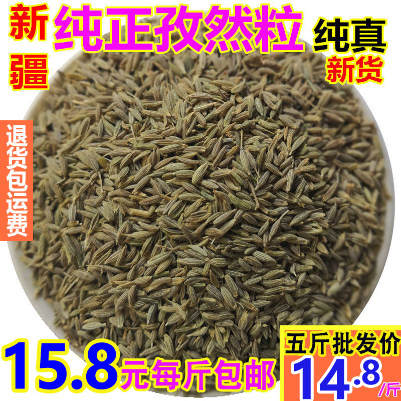 纯正新疆孜然粒500克250g手选包邮烧烤料鱼羊肉串免费磨孜然粉面