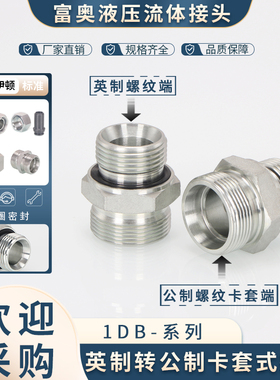 液压卡套直通1DB-WD重型H型24°内锥碳钢英制G螺纹ED圈密封接头