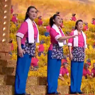 农民村姑在希望 田野上丰收节表演服红歌大合唱诗歌朗诵演出服装