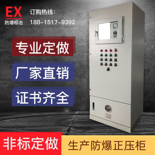 防爆正压柜PXK正压防爆柜通风型正压柜PLC配电柜变频柜9U防爆柜