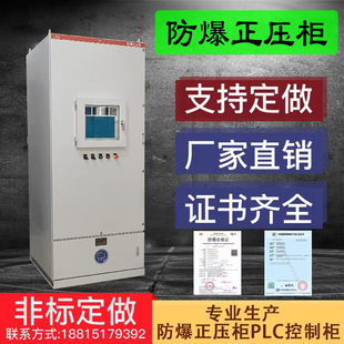 PXK防爆正压柜防爆配电箱通风型正压柜PLC配电柜变频柜9U防爆箱
