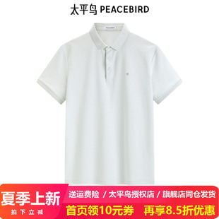 【王鹤棣同款】太平鸟男装 翻领短袖t恤24休闲polo衫B1COE2109