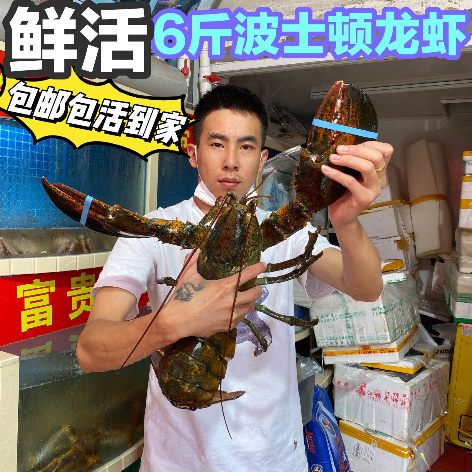 波士顿龙虾6斤/只海鲜鲜活 水产进口特大波龙澳洲超大波斯顿包邮