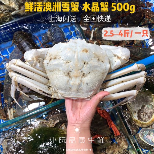 雪蟹进口澳洲野生水产深海单价