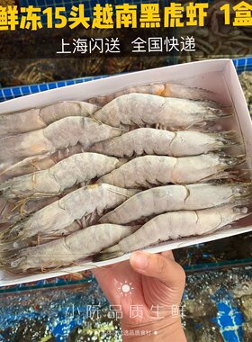 鲜活海鲜水产进口海虾黑虎虾