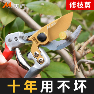 修枝剪园艺剪刀园林树枝剪花店绞花剪修树枝专用剪刀果树修枝剪子