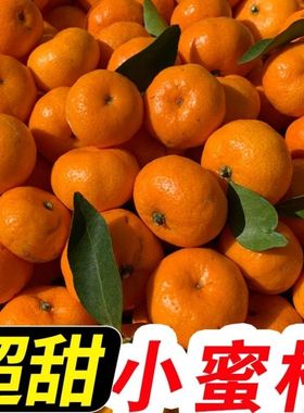 石门正宗南丰蜜桔水果橘子新鲜10斤当季蜜橘应季整箱时令桔子丑甜