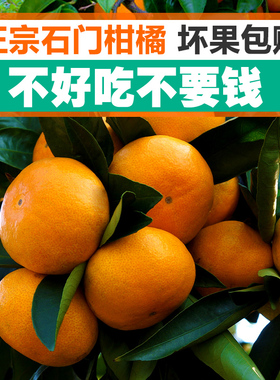 正宗石门秀坪柑橘常德蜜柑桔子新鲜水果早熟蜜桔橘子皮薄孕妇水果