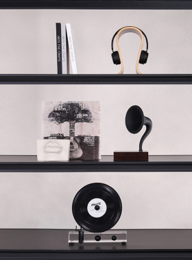 软装恒大现代简约高级感小众艺术装饰客厅轻奢开放格音乐唱片摆件