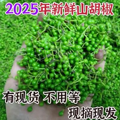 湖南新鲜野生山苍子木江子