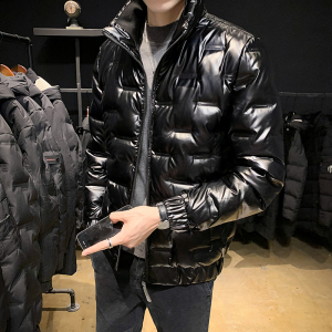 冬季羽绒服男薄款立领时尚羽绒服男A074-A026图片