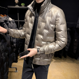 冬季羽绒服男薄款立领时尚羽绒服男A074-A026图片