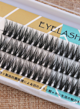 分段式假睫毛女浓密鱼尾款单簇单株自嫁接种植柔软自然仿真SNR001