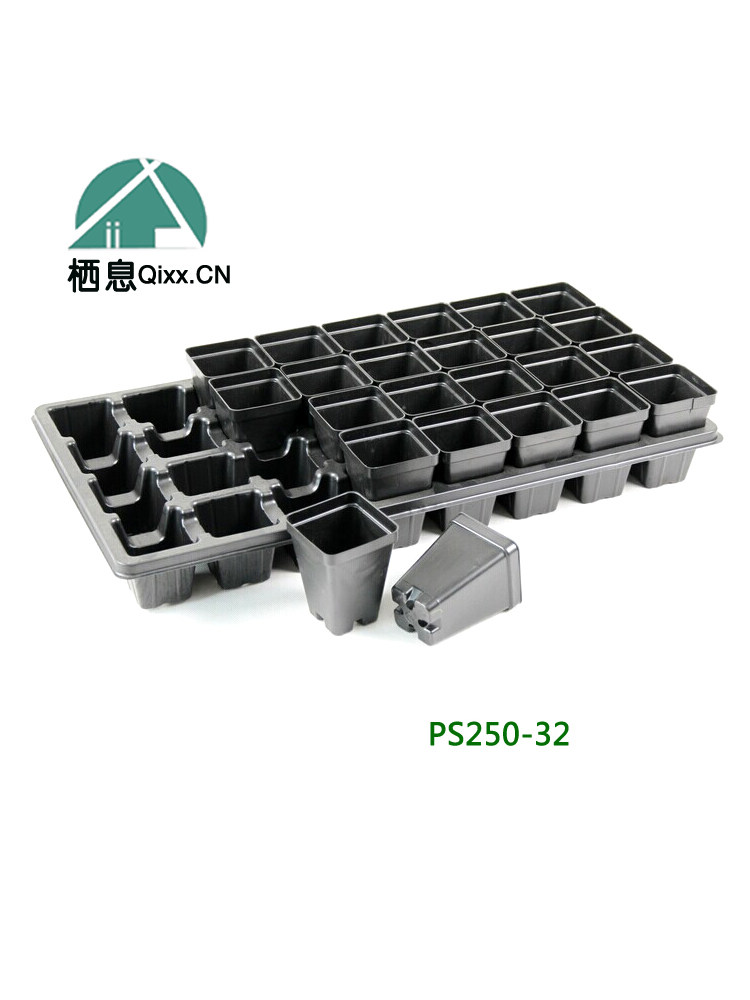 32孔风信子培育盆多肉套装水仙穴盘栖息塑料育苗杯盘盆不漏水托盘,鲜花速递/花卉仿真/绿植园艺,育苗盘/营养钵,淘宝优惠券,粉丝福利购,淘宝优惠卷