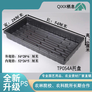 TP054A育苗托盘长方形育苗平盘穴盘叶插浸盆栖息不漏水多肉浸盆穴