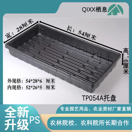 TP054A育苗托盘长方形育苗平盘穴盘叶插浸盆栖息不漏水多肉浸盆穴