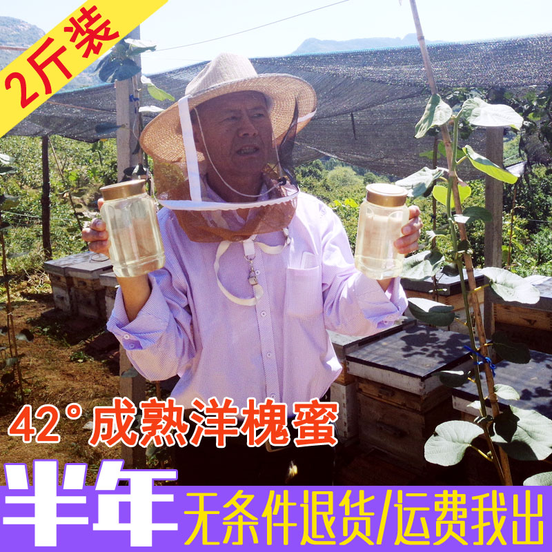 水白洋槐蜜原蜜新鲜2斤槐花蜜蜂蜜纯正天然农家自产 野生蜜糖