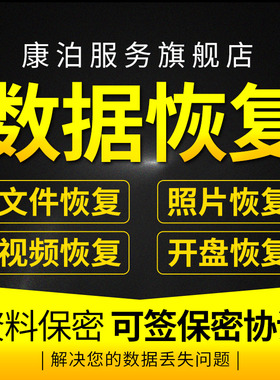 电脑机械移动硬盘数据恢复维修服务U盘内存sd卡文件修复软件远程