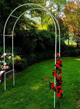 防锈铁艺拱门爬藤花架葡萄爬藤架子月季花架户外拱门花架爬藤架