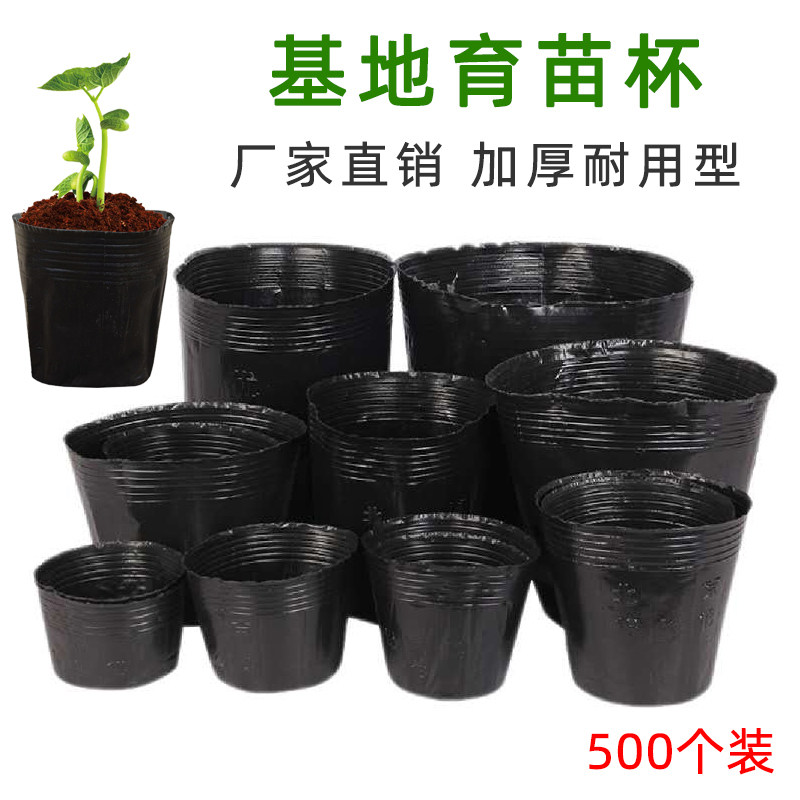 基地营养杯育苗杯营养钵育苗盒塑料加厚一次性农用营养育苗袋花盆