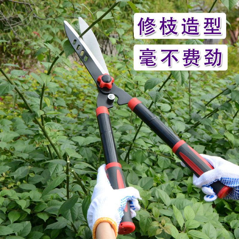 果树修枝剪刀剪枝剪刀园林树枝修枝剪园艺大剪刀花剪绿篱剪修草坪