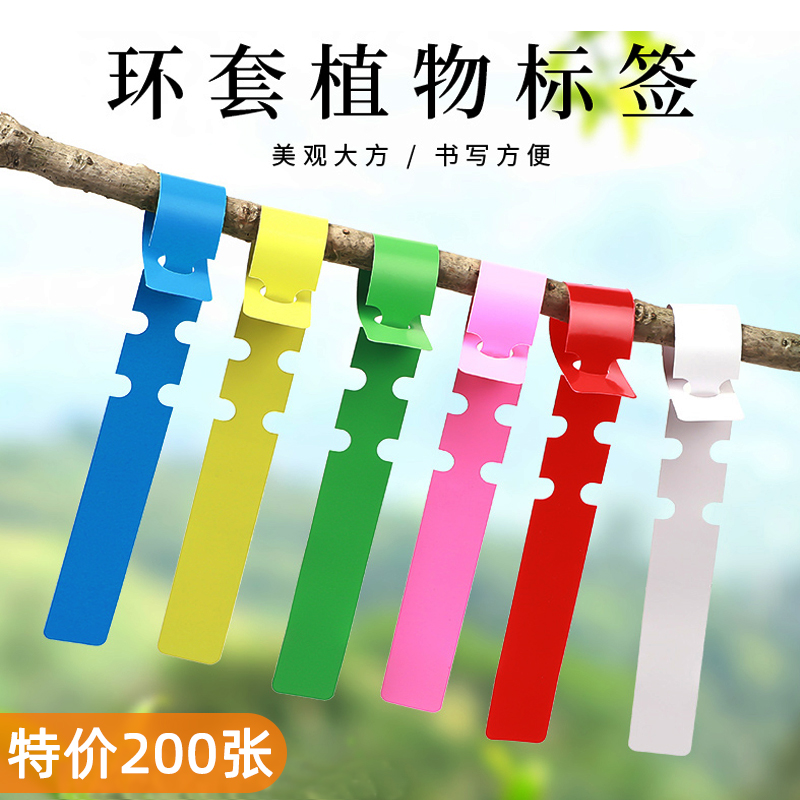 花名分类塑料防水环扣式标签牌