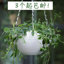 吊盆 吊蘭花盆塑料垂吊掛墻花盆綠蘿水培吊籃花盆佛珠蘭花盆懸掛式