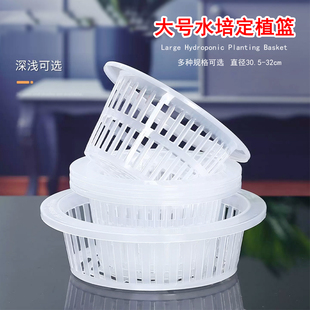 圆形水培大号定植篮水培器皿花盆固根器绿萝植物固定器鱼缸固定架