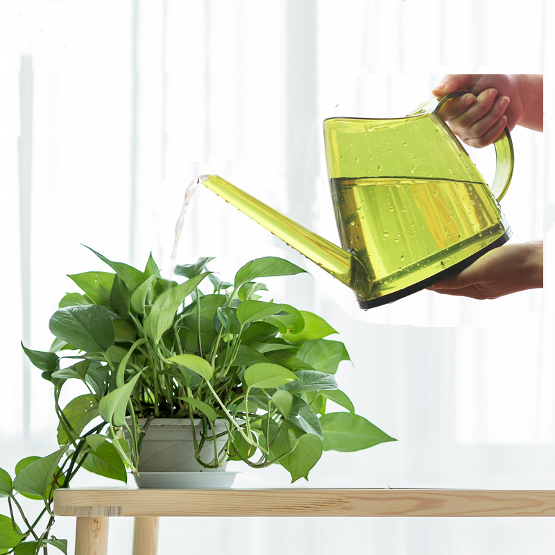 多肉洒水壶园艺淋花浇花神器盆栽