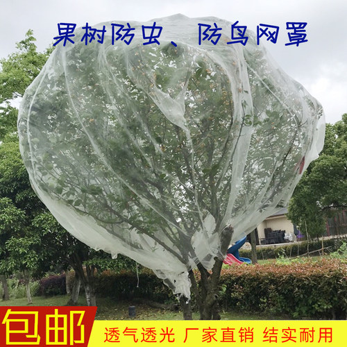 热销爆款果树防鸟用的网防虫网