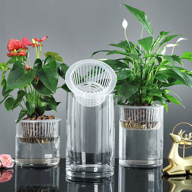 花瓶水培绿植玻璃花盆水培玻璃器皿水养绿萝植物养花玻璃瓶定植篮-封面
