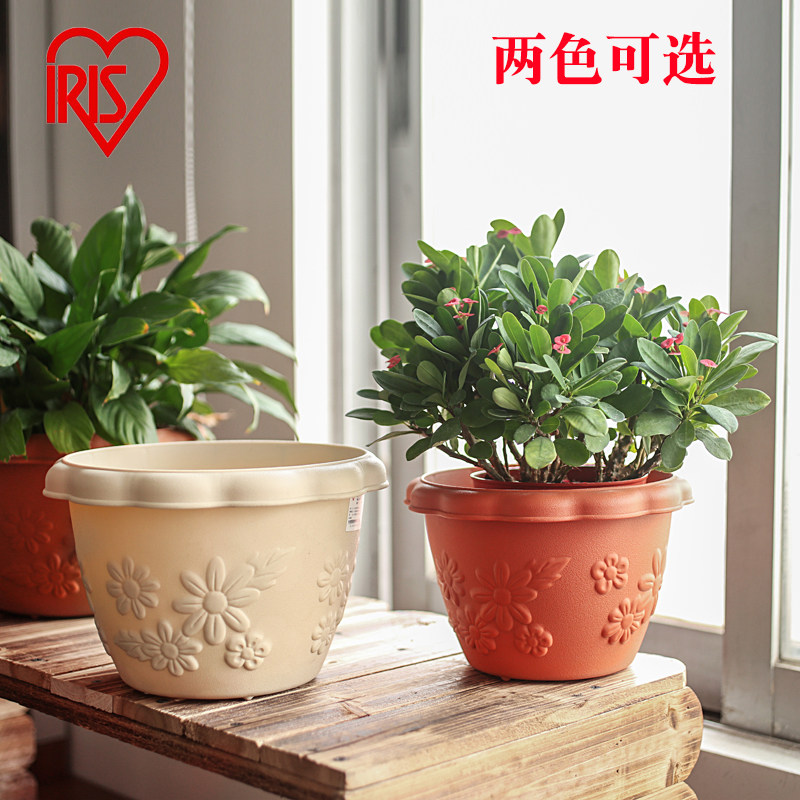 爱丽思圆形花盆家用多肉植物绿萝盆栽花盆树脂塑料爱丽丝花盆种植