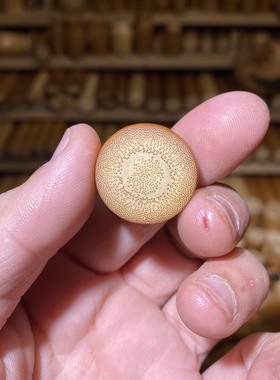 23.5-10mm红皮圆片，一物一链接，远山工实心玉竹手把件